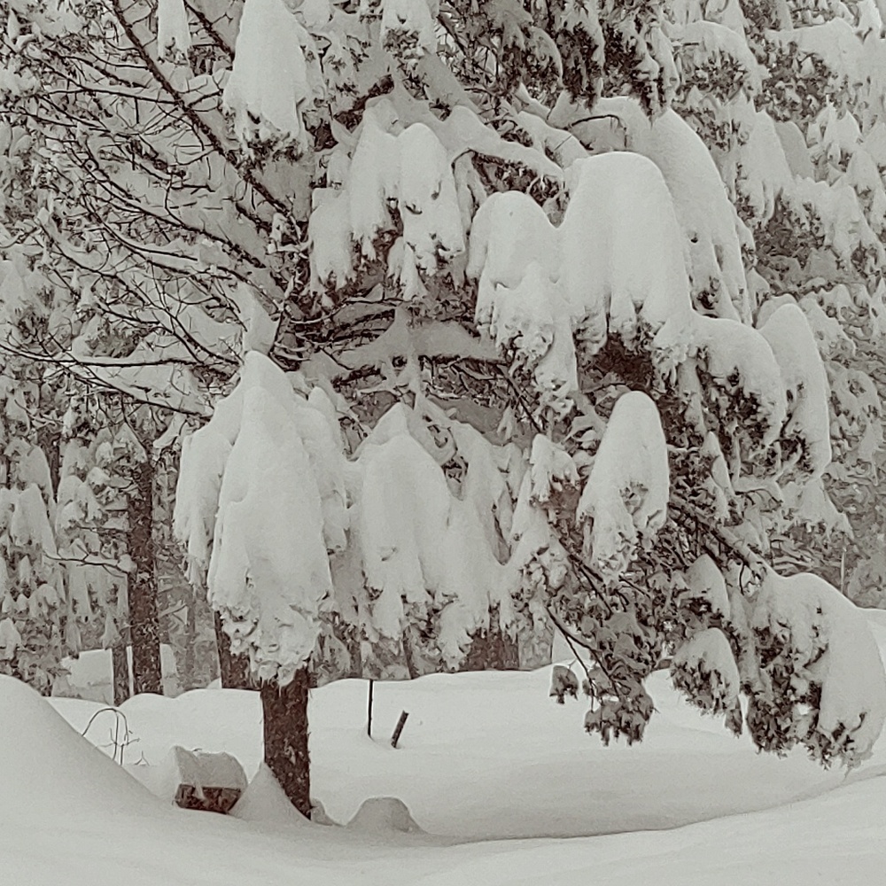 Central Oregon Snow Day